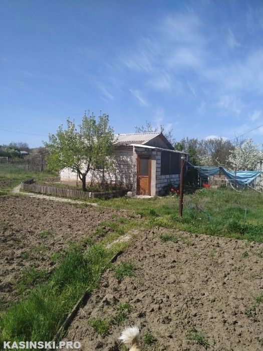 Продаж будинку. Зайчівське. Миколаївська область-2