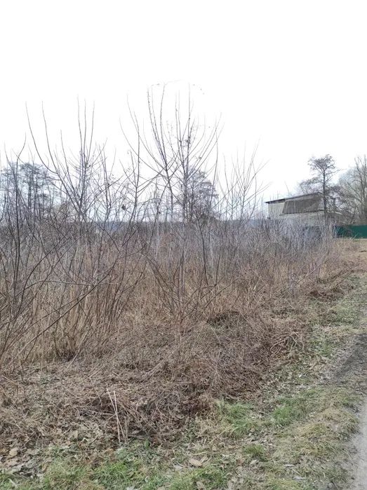 Продаж земельної ділянки. Київ. Львівська область-10